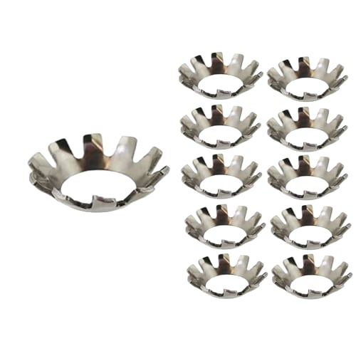 Stainless Steel Toothed Belleville Washers, Pack of 10 (M8)