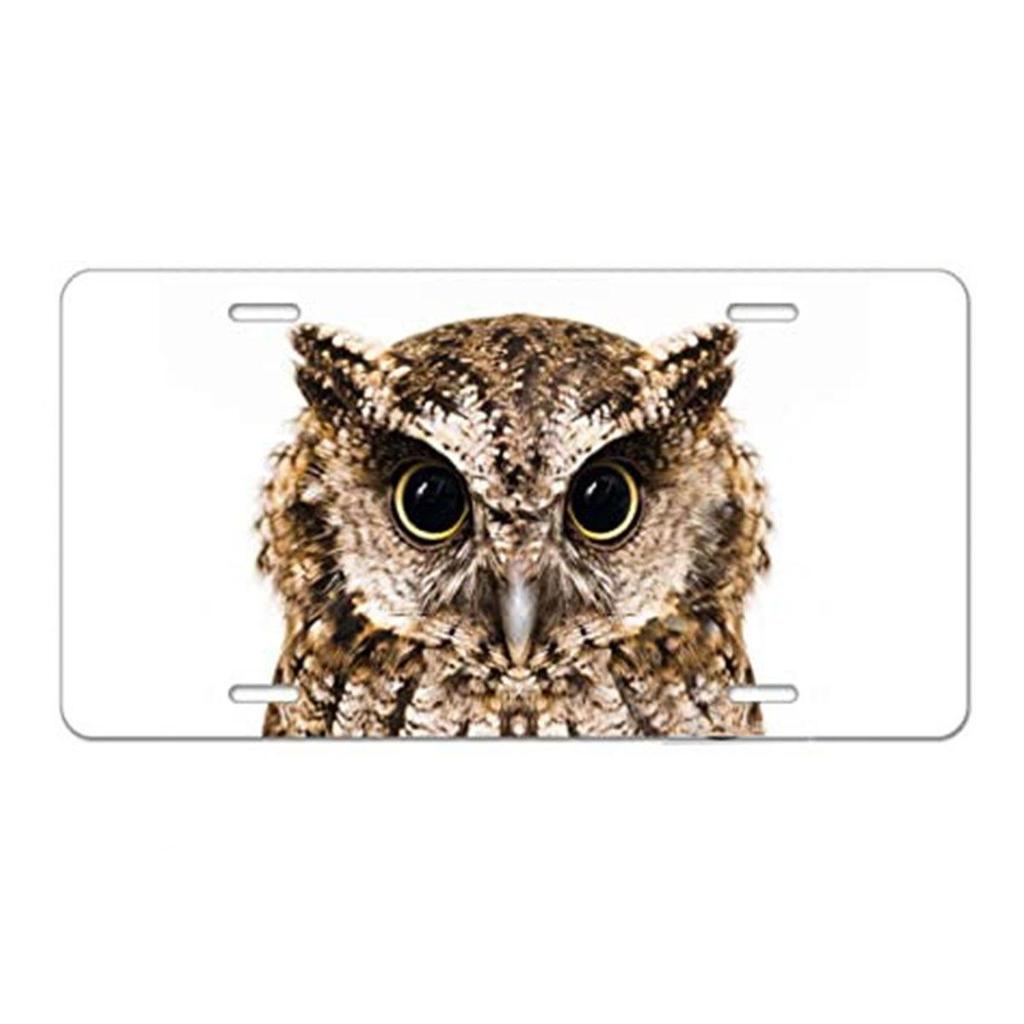 Sublimation Printed US Standard License Plate Metal Sign, 12x6 Inches, Hot-Selling Design
