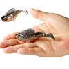 7,5CM/14G Soft Mudskipper Návnada s ostrým háčkem Paddle Tail Realistic PVC Bionic Umělá návnada na skoky na ryby Příslušenství pro sladkovodní mořský rybolov