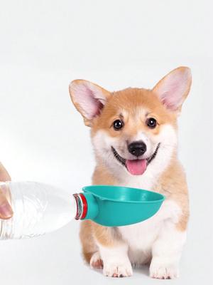 Köpek – Köpek Besleme ve Sulama Malzemeleri