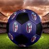 SIZE 5 Bologna FC Soccer Ball Colorful All Ages Machine Stitched PVC Competition Ready Durable High-Bounce