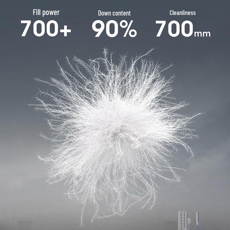 BOSIDENG Men's Stand Collar Lightweight Down Jacket B250136701