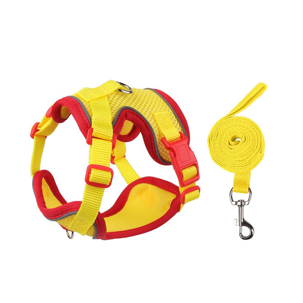 & Small Dog Leash Set - Outdoor Pet Vest for Puppies & Kittens