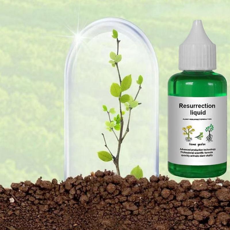 Plant Revive Liquid Resurrection Solution Fix Yellow Withered Leaves Revitalize Lifeless Plants For Fruits Vegetables Greenery Flowers