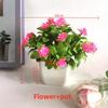 Flowers Eighteen Simulated Daisy Pine Cone Artificial Green Plant Potted Plant