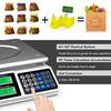 Electronic Price Computing Scale LCD Digital Commercial Food Meat Weighting Scale 66 Ib Ccity