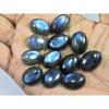 13X18MM Natural Labradorite Blue Fire Oval Cabochon Loose Gemstone 11Pcs Lot C-1070