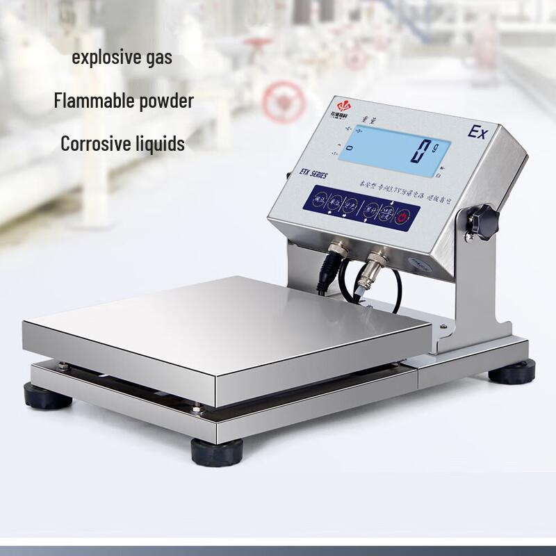 Huachao Intrinsically Safe Industrial Platform Scale