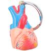 Educational Heart Keychain High Accuracy Anatomy Model Lightweight Portable Design For Doctors Students Collectors