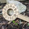 Outdoor Wooden Leaf Identification Tray, Creative Botanical Science Kit for Nature Study Forest School Fall Decoration & Leaf Ar
