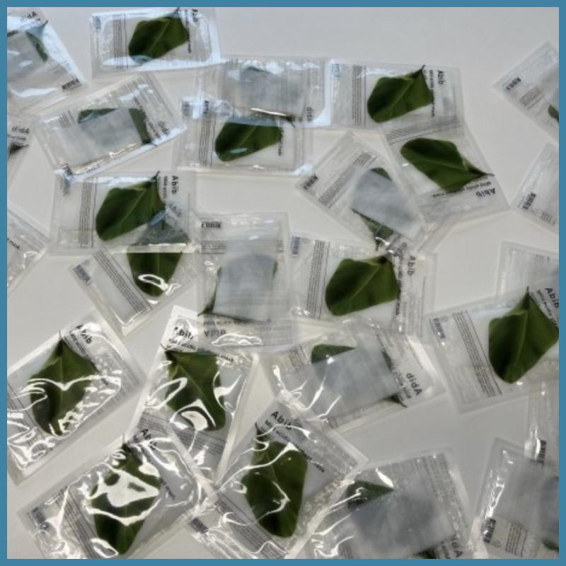 [Abib] Mild Acidic pH Sheet Mask Heartleaf Fit 30ml 10Sheet