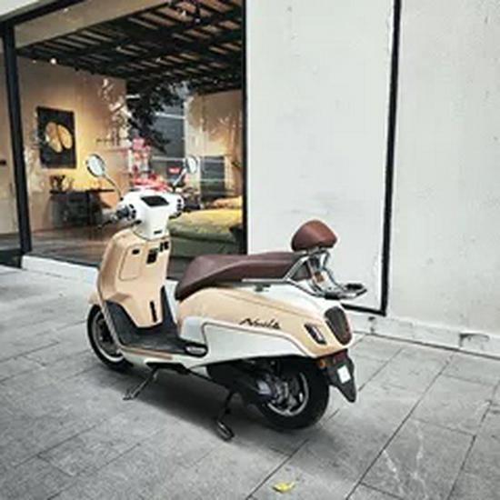 Tianfeishi Retro Backrest for Honda NS125LA, Easy Installation