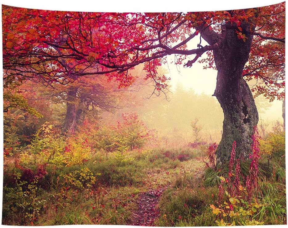 Landscape Tapestry Autumn Season Fall Trees with Morning Fog in Forest Relaxing Art Nature Photo Home Wall Hanging Decro for