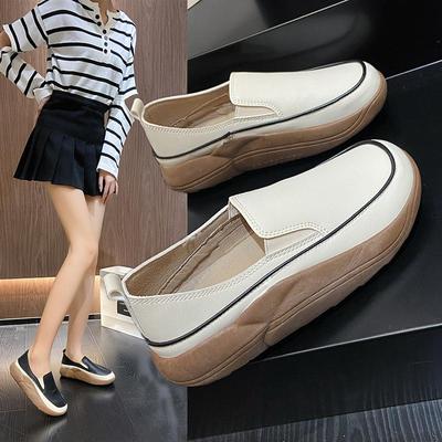 Herfst Dames Ronde Neus Vintage Dikke Zool Platform Schoenen Instappers Enkele Schoenen Comfortabele Casual Dames Schoenen Gevulkaniseerde Schoenen