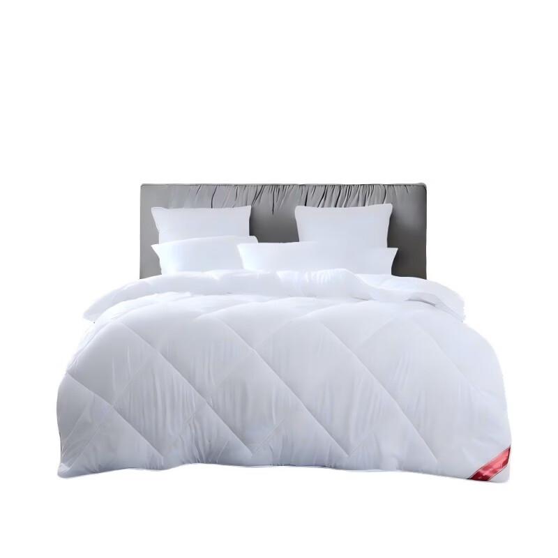 Mengjie Cloud Core New Zealand Wool Winter Duvet