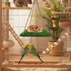 Pet Grass Hammock For Parrots Squirrels Hamsters Large Medium Small Sized Birds And Rodents Climbing Toy With Suction Cup Hook
