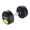 Echipamente de fitness – Gantere