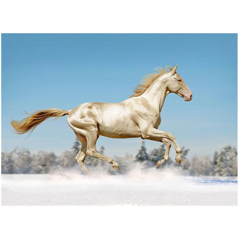 

DIY 3D Алмазная картина Животное Лошадь Вышивка Крестом Стежок Главная Декор Full Round 20x25CM