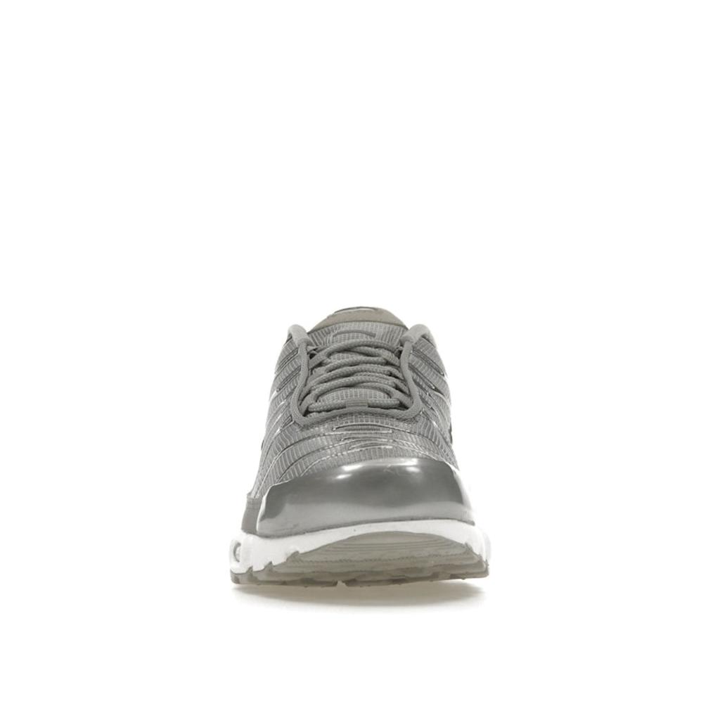 Nike Air Max Plus Metallic Silver Unisex Sneakers Grey-Fog FJ1012-095