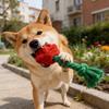 Jouet pour chien en peluche rose avec couineur, jouet à mâcher interactif pour petits et moyens chiens, peluche douce en forme de fleur.