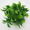 Reticulata Plastic Citrus Blanco Leaf For Garden Landscape Design Decor Indoor