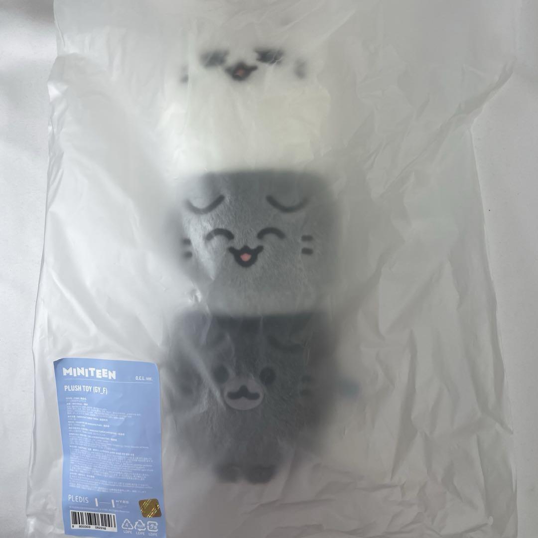 

[USED] SEVENTEEN MINITEEN Pop-up Jun Plush Toy