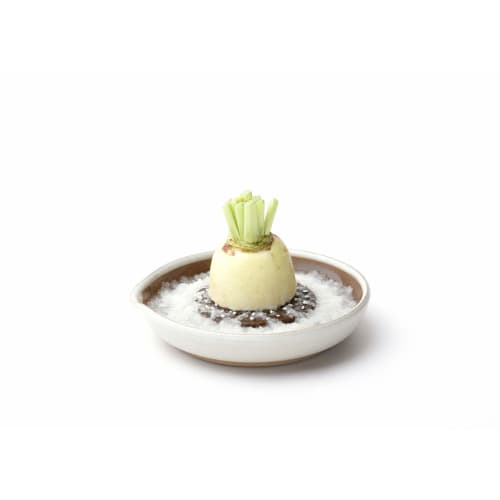 Motoshige Grater (Black, Large)