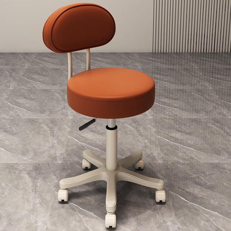 

Adjustable Salon Stool with Backrest