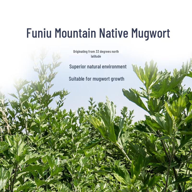 Liyuan Workshop Herbal Foot Soak & Bath Salt Gift Set