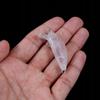 Body Wobbler Pike Zander Perch Do It Yourself For Painting 10Pcs 5Cm 3G