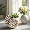 Conch Mold For Resin Casting Cement Planter Silicone Jewelry Dish Crafts DIY Decorative Art Projects