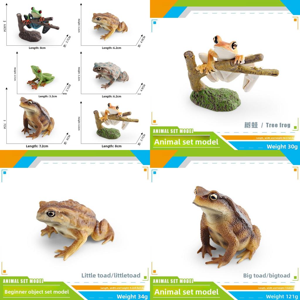Childrens Wild Animal Pvc Collection With Realistic Tree Frog And Toad Figurines For Educational Play