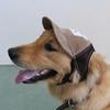 New Breathable Baseball Dog Caps Travel Pet Dogs Sports Sun Hats Pet Supplies Puppy Accessories Dog Hats Dog Costume