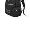 Puma Double-Headed Zipper Logo Casual Fabric Backpack Regular Kids Kids backpack Black 353324166202-90001
