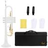 SLADE Bb Trumpet for Beginner B Flat Premium Brass body Colorful Trumpet Professional Brass Musical Instrument with Case Gloves