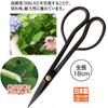 Gardening Made In Professional Pruning High Garden Twig Cutting For Crafts Scissors, Japan, Shears, Steel, Craftsman, Hardness, Sharpness, Bonsai,