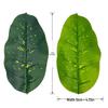 Traveler's Banana Leaf Decorative Indoor Plant - Green Dot Pattern for Home or Living Room
