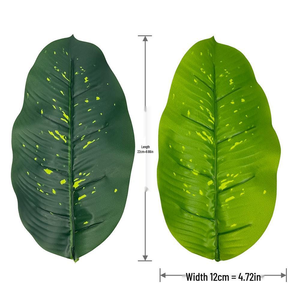 Traveler's Banana Leaf Decorative Indoor Plant - Green Dot Pattern for Home or Living Room