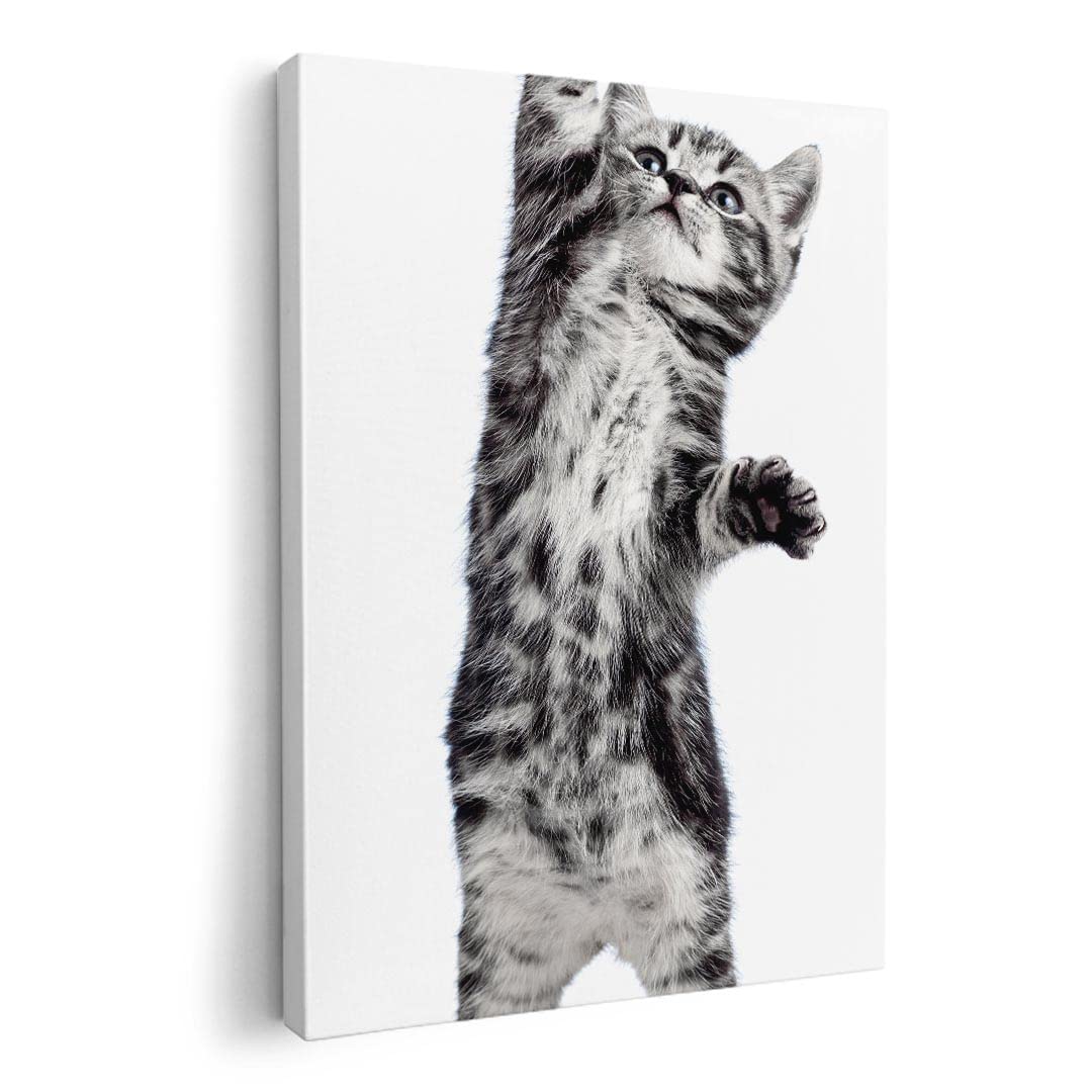 

Art 420mm x Wall Wooden Stylish Interior Cat Panel, Painting, Decoration, igsticker, 297mm, A3, Photo, Hanging, Frame, Decor, 001200, Animal,