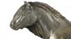 Koń Rasy Fell Pony - Ogier - Statuetka Z Koniem, Sylwetka Konia Na Drewnie, Prestiżowa Nagroda W Konkursie Marki Art-Dog