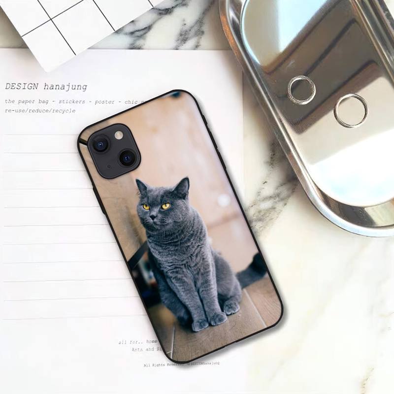 Gilt für die Handyhülle des iPhone 16, neue süße Handyhülle mit blauem Katzenmotiv.