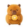 Coin Persimmon Gold Duck Capybara Plush Toy Animal Stuffed Doll Decorations