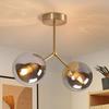 Glass Ceiling Light - NETTLIFE - 2 E27 Bulbs - Golden Spherical Glass - Modern Industrial Style