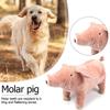 For Small Medium Dogs Indoor Play Dog Sleeping Toy Pet Supplies Chew Training Toy Dog Chew Toys