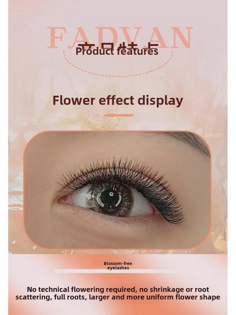 FADVAN Clover 5D False Eyelashes, 0.07 Soft, Non-Loose Root, Ideal for Beauty Shops.