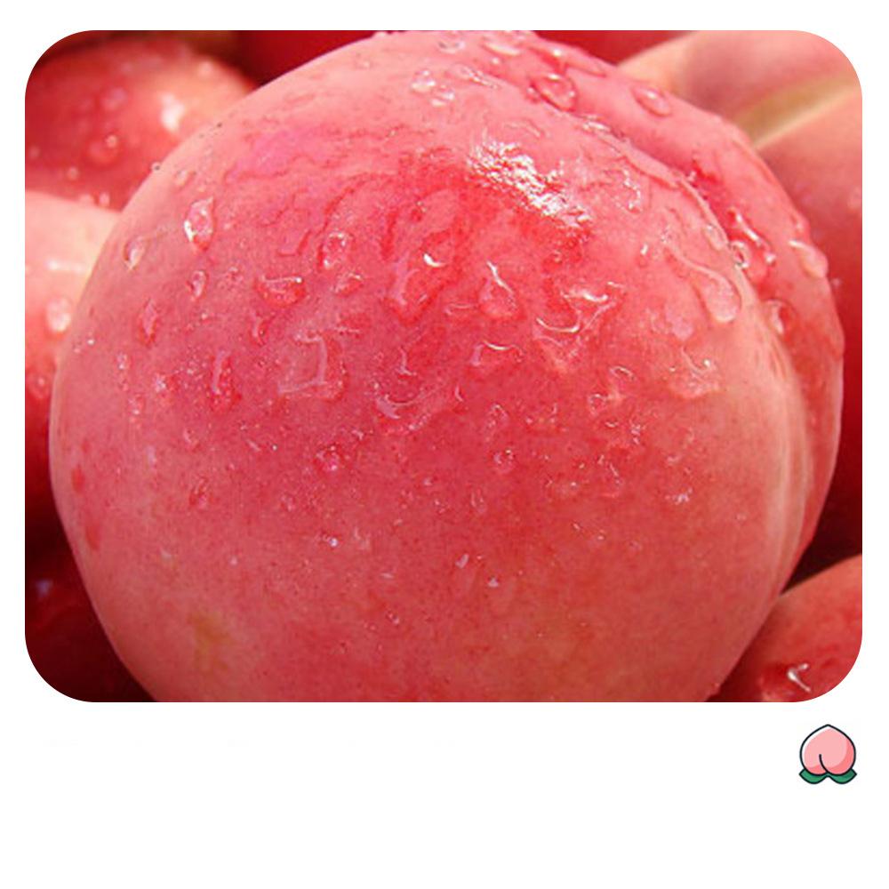 Bioaqua Peach Solid Gesichtsmaske Tiefenreinigende feuchtigkeitsspendende Hautverjüngung Tragbarer Maskenstift