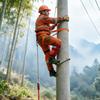 1 Set Tree Climbing Spike Adjustable Electrician Pole Climbings Shoes with Saw Teeth Non-Slip Tree Picking Work Climbing Gear