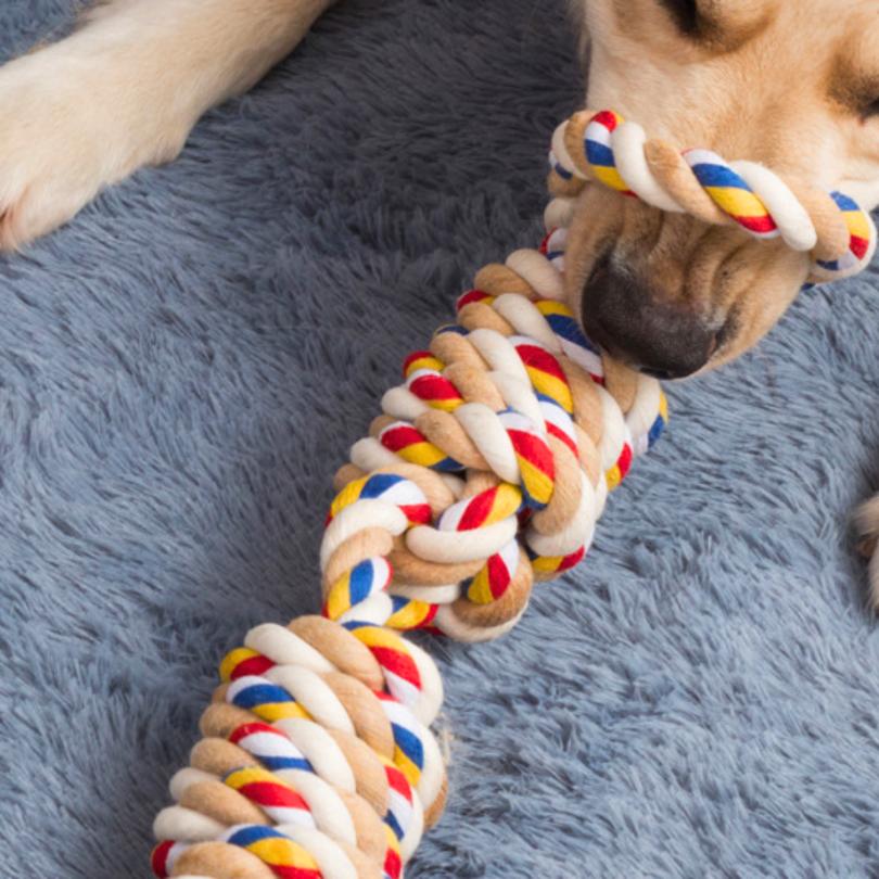 Dog tug with knots, colorful rope, chew toy, training, strong, xxl, PetJet