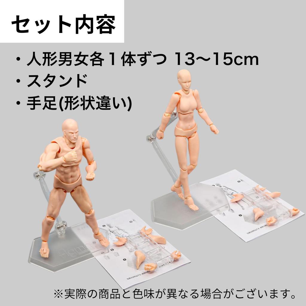 TikTrunk Action Figure Drawing Doll Set, Male and Female, 1/12 Scale Articulated, Muscular, PVC (Skin Tone), for Illustration, Manga, and More