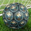 Marine Life Treasures Round Football Size 5 Adult Ball Suitable for Training Matches and Outdoor Team.